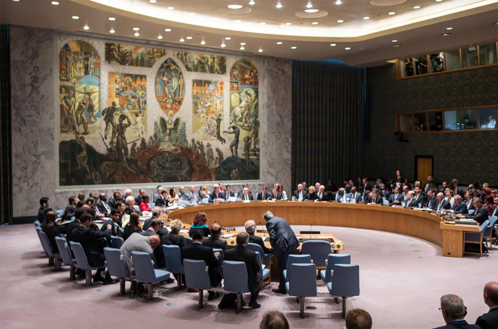 United Nations Security Council